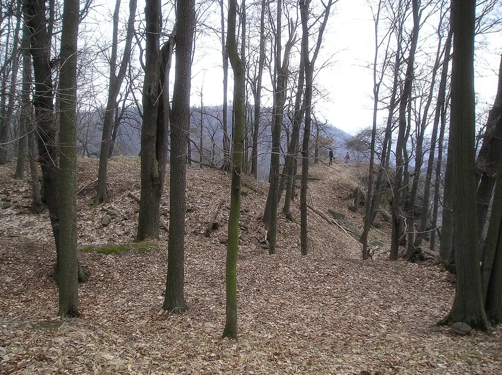 Najštejn - pohled na jádro hradu od jihozápadu.
