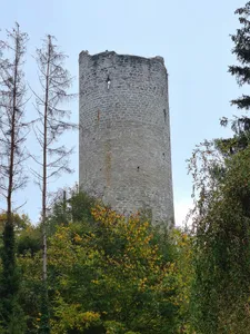 Ruins of the castle of Montagny