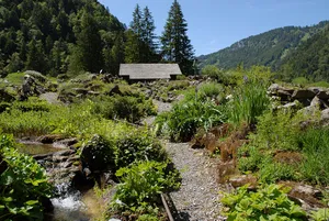 Botanical garden "La Thomasia"