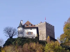 Petit-Vivy Chateau