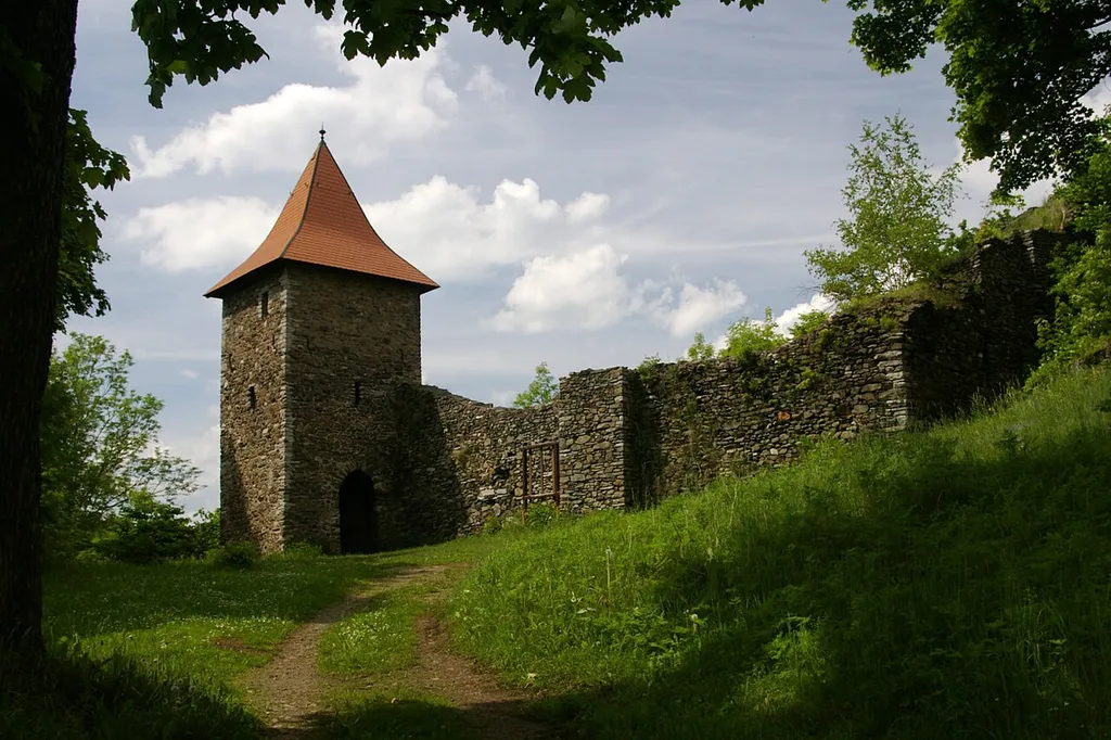 Burgruine Wiedersberg, Eingang