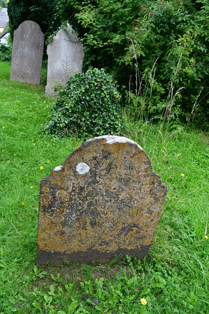 Stokeinteignhead, Devon