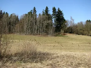 Burgstall Parsberg