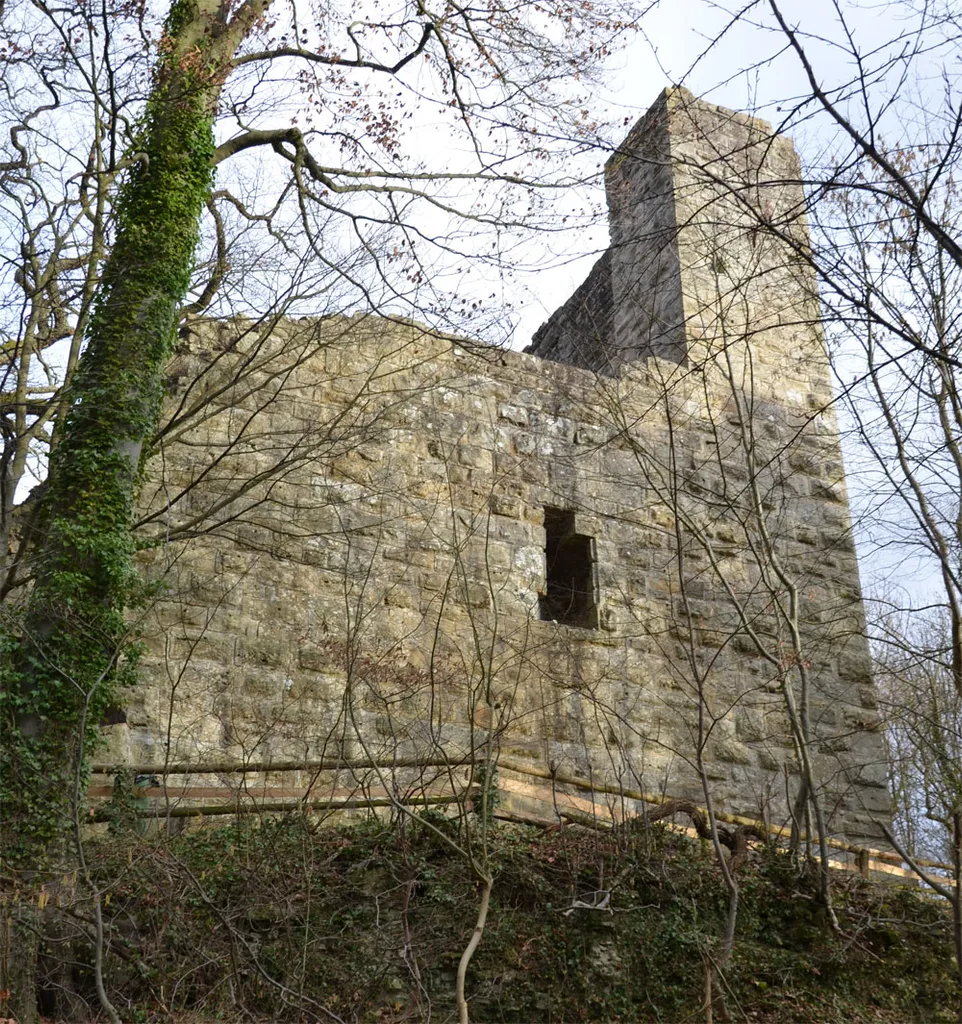Burgruine Blankenhorn bei Güglingen-Eibensbach. Ansicht von Westen, rechts die Schildmauer.
