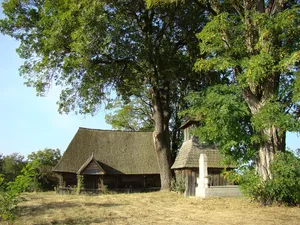 Wooden church in Pănet