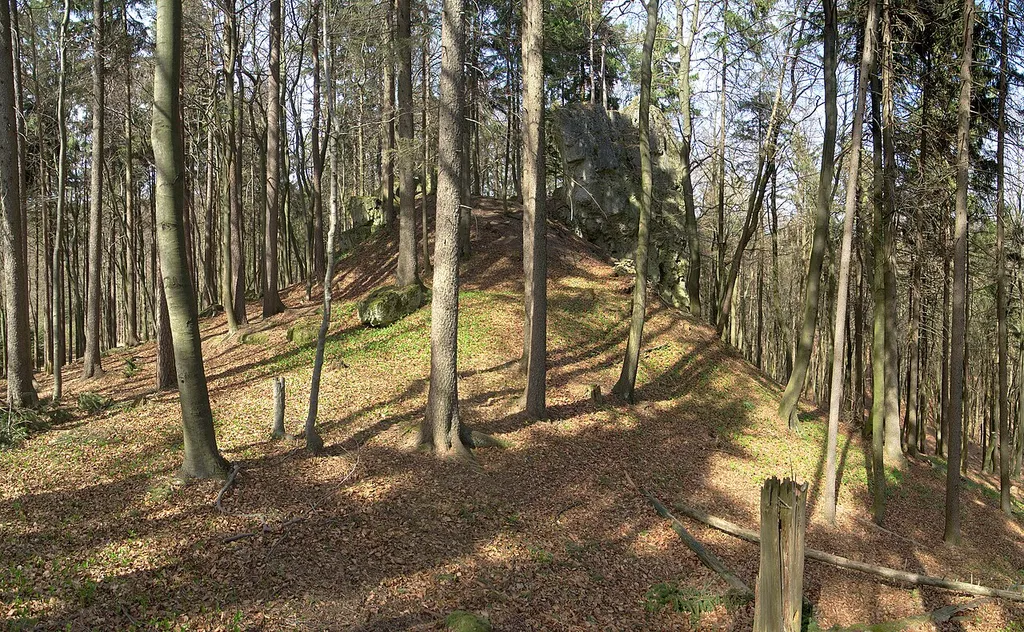 Burgstall Spitzenberg - Ansicht aus südlicher Richtung
