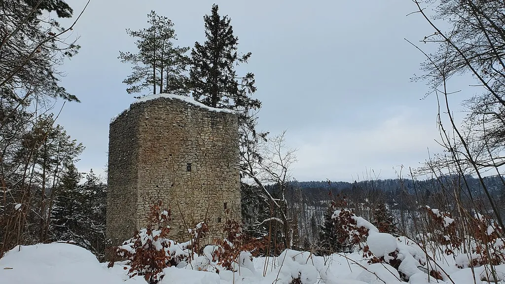 Castle Hohenerpfingen