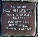 Stolperstein in Magdeburg Blumenfeld Rosa