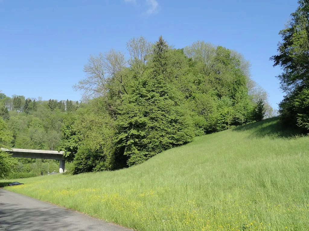 Burghügel der de:Burg Rossberg ; Ansicht von Osten