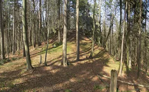 Burgstall Spitzenberg