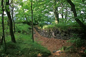 Burg Lilienstein