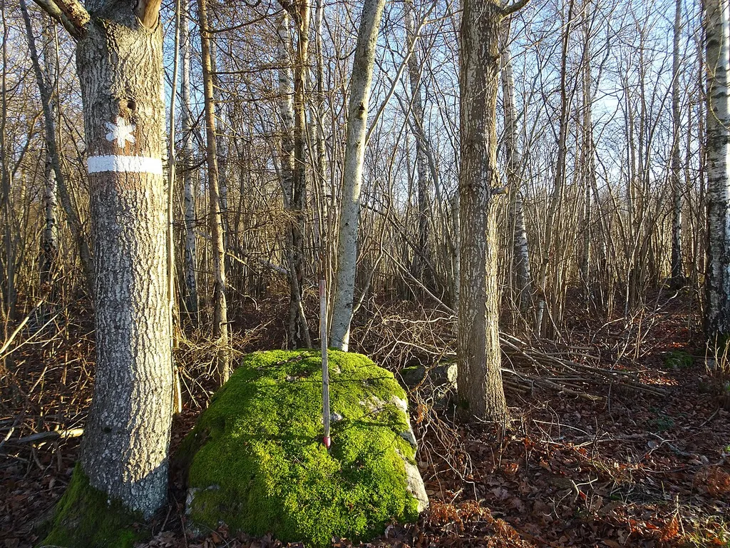 Strandhagen naturreservat i Katrineholms kommun