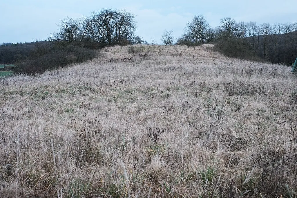 Remains of the demolished castle (Motte) Turmhügel Altenburg, flacher Westhang, Sulzfeld, county Rhön-Grabfeld, Bavaria, Germany