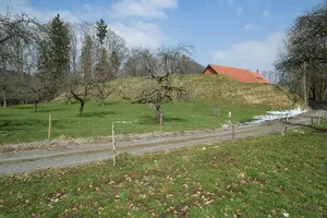 Ringgenburg (Schmalegg)