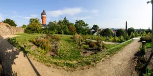 Höhenburg Weinberg