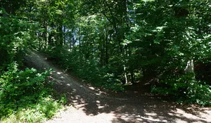 Burg Hornfels
