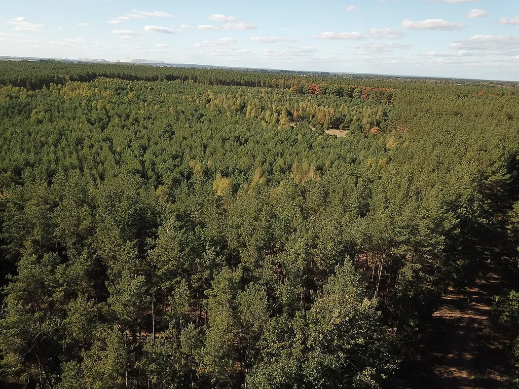 Bürgerholz bei Burg mit DJI Mavic Pro aufgenommen