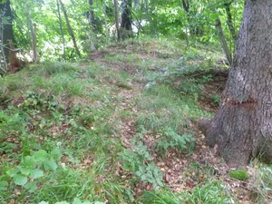 Burgruine Morau