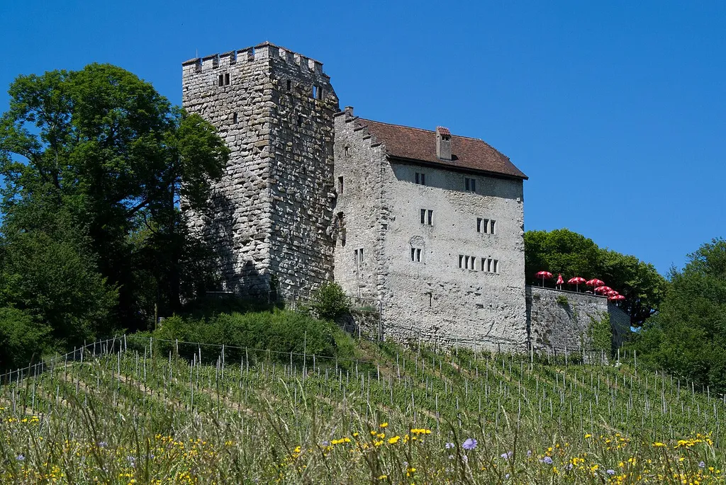 Schloss Habsburg