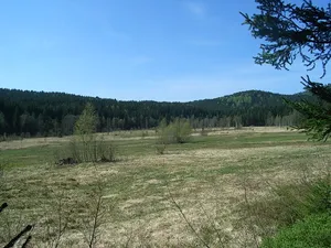 Stockau-Wiesen
