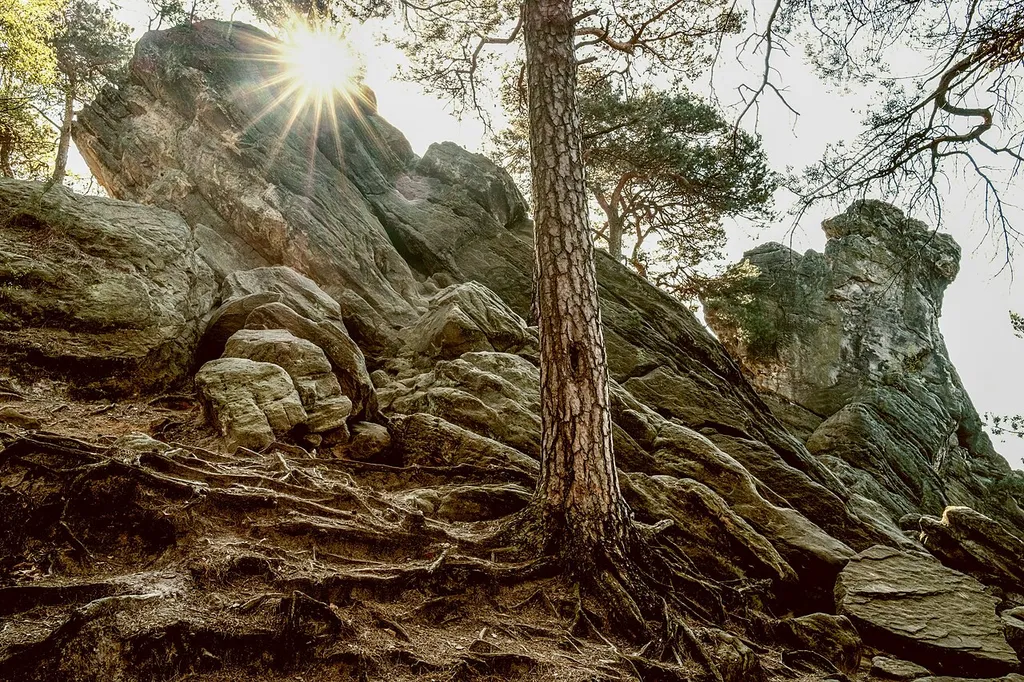 April, Europäisches Naturschutzgebiet, südl. von Ibbenbüren, Wanderparkplatz an B219, von da 900m südöstl. Richtung Tecklenburg, auf dem Hermannsweg, Das hockende Weib (rechte Erhebung, CS