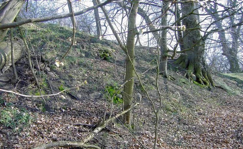 Burgwall Groß Görnow, Wall am Eingangstor