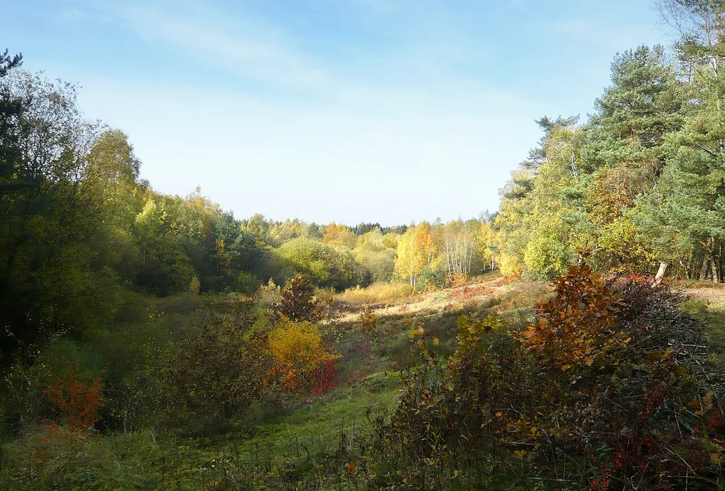 Area near the source of Ölbach in Augustdorf