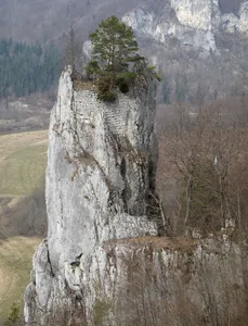 Wildenstein - Hexenturm