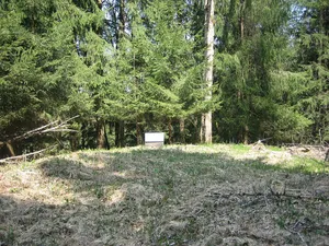 Burgstall Im Buschel