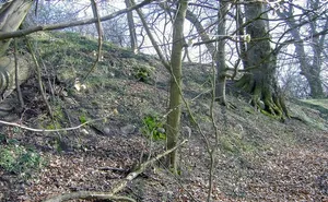 Burgwall Groß Görnow