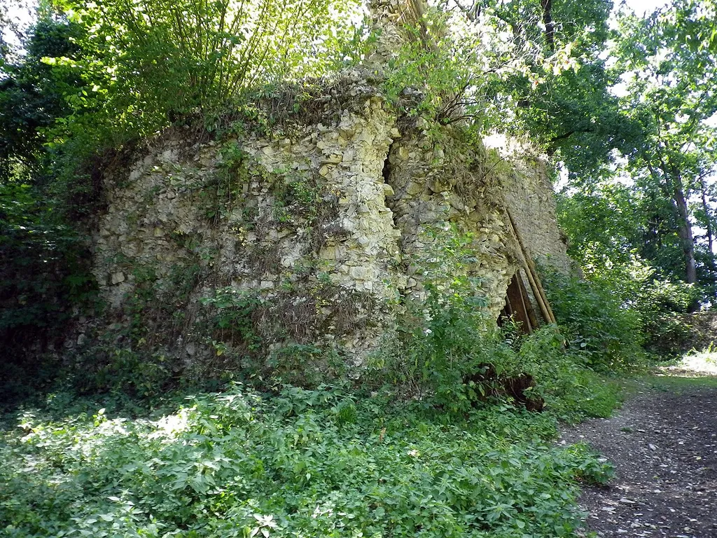 Die Burgruine Ettling