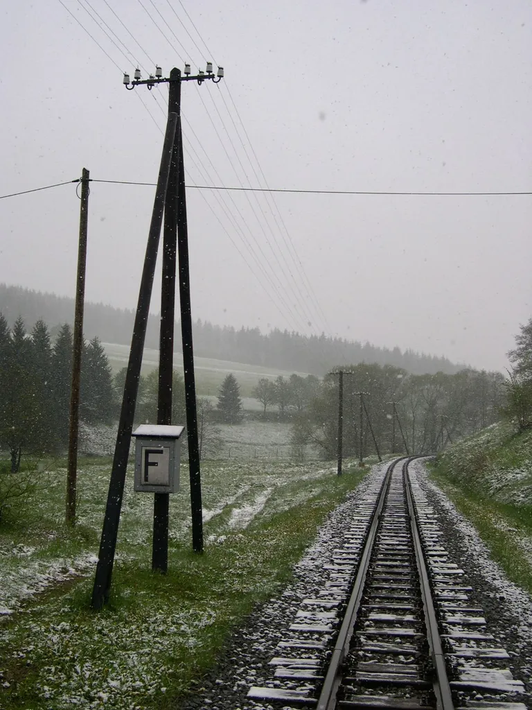 Mast der Streckenfernsprechleitung und Kasten eines Streckenfernsprechers an der Preßnitztalbahn