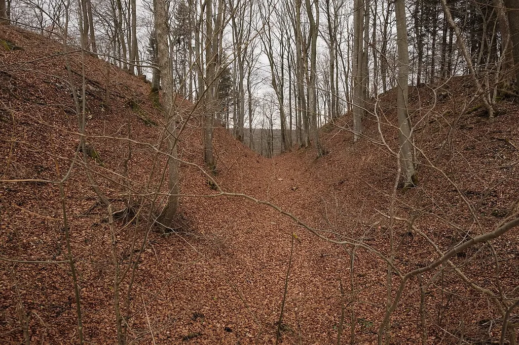 Hillfort Alte Burg, Langenenslingen, district Biberach, Baden-Württemberg, Germany