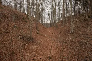 Alte Burg