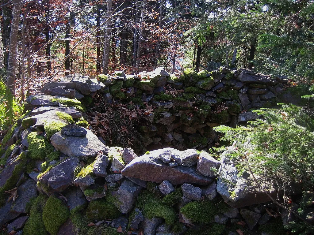 Mauerreste auf dem Stockberg bei Marzell