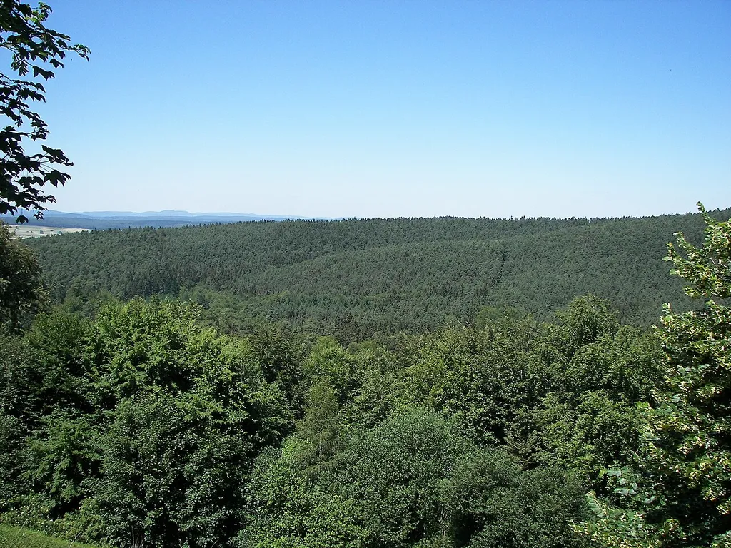 Burgwald, Gerhardsberg, vom Christenberg aus gesehen