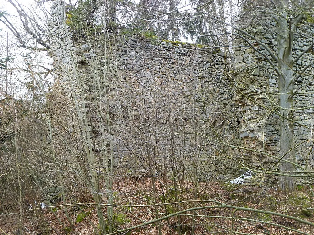 Burgruine Reichenau Innenhof