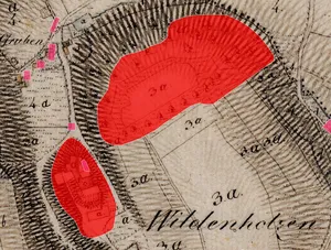 Burgstall Wildenholzen
