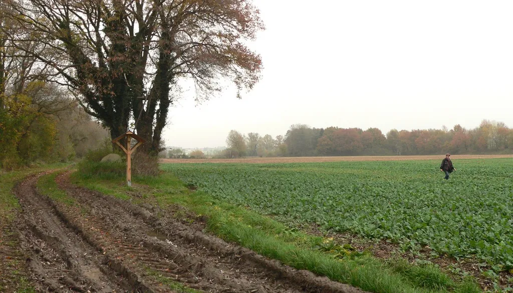Früherer Standort der Posteburg auf einem heutigen Feld an der Rodenberger Aue