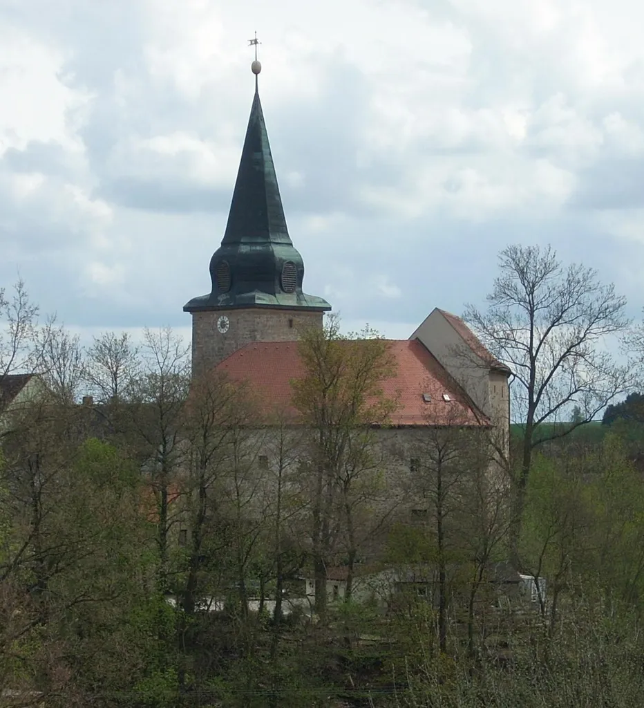 Burg Wildenau (Plößberg)