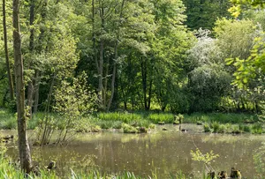 Wiesentälchen von Beedenkirchen