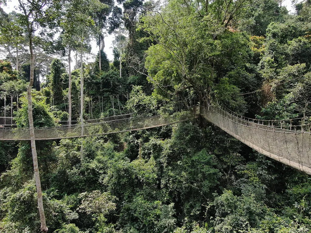 Akagera National Park