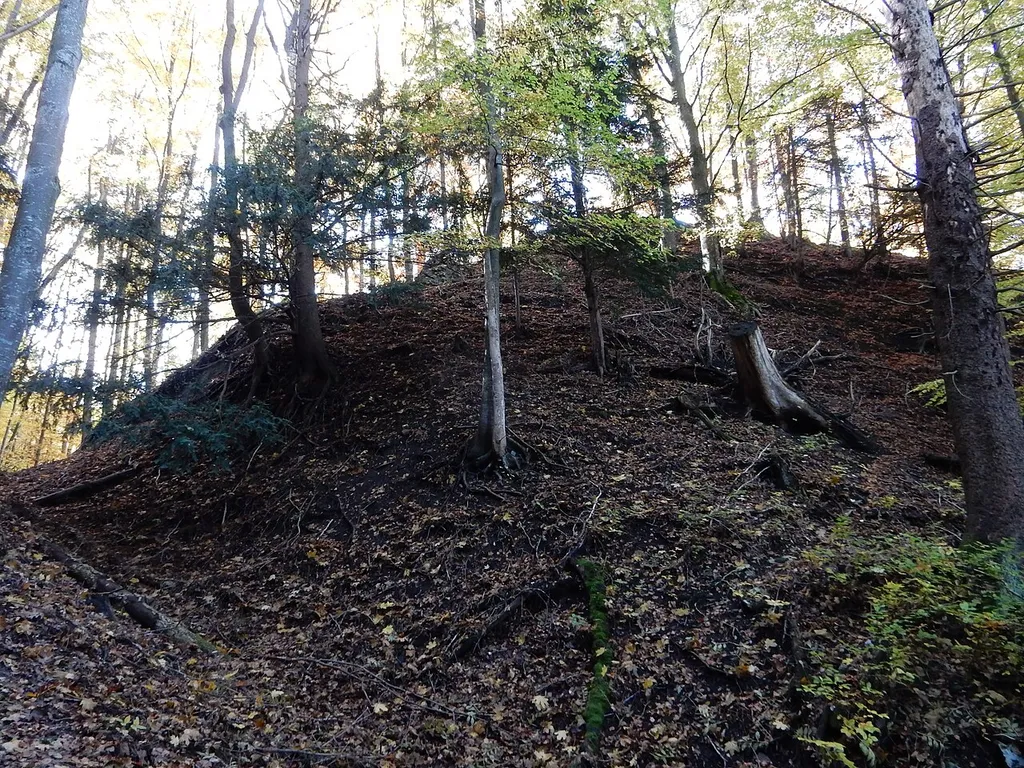 Belp - Burgruine Hohburg