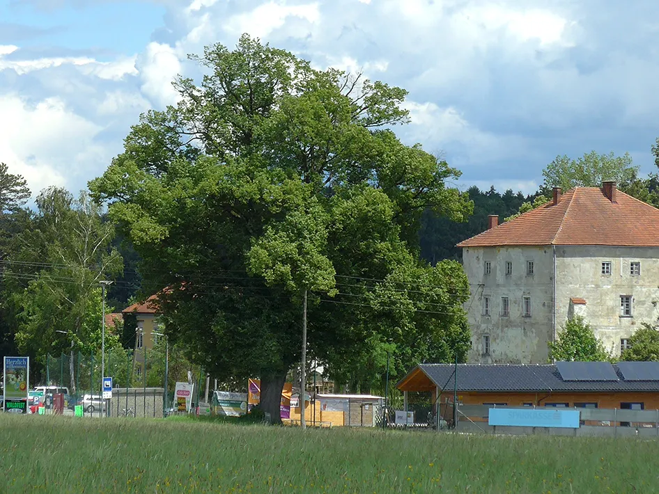 This media shows the natural monument in Upper Austria with the ID nd472.