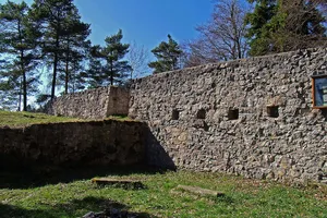 Burg Waseneck