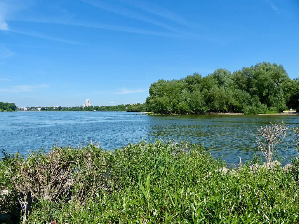 Rheinufer bei Köln-Zündorf