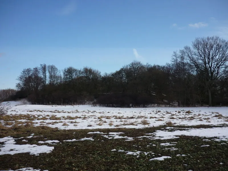 Slawischer Burgwall bei Neu Nieköhr
