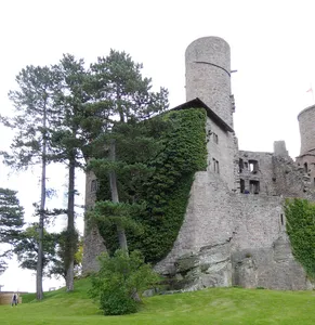 Efeu auf der Nordseite der Burgmauer der Burgruine Hanstein