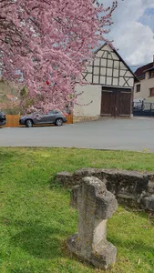Stone cross (Tautenburg, Lindenstraße)