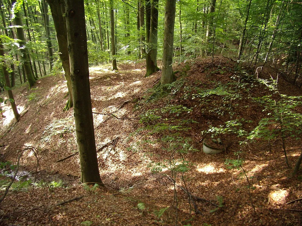 Burgstall Waseneck bei Baumgartenberg